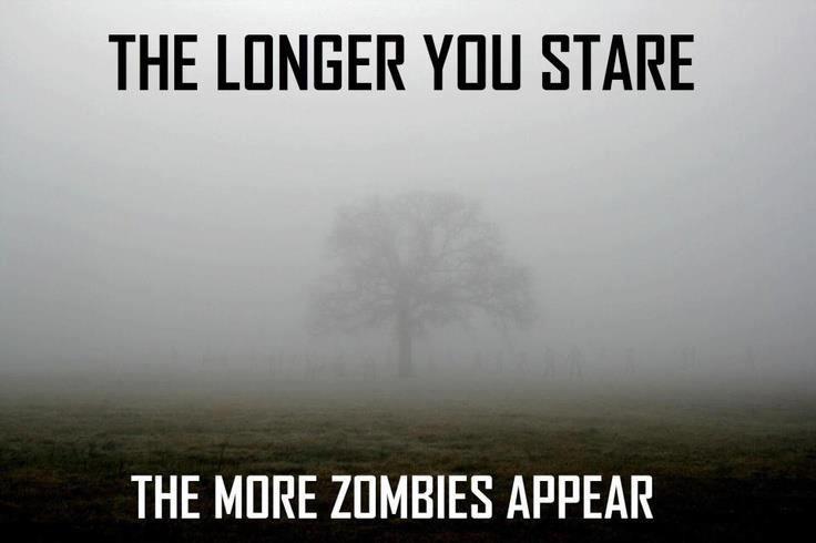 The longer you stare the more zombies Zombie Meme | Picsmine