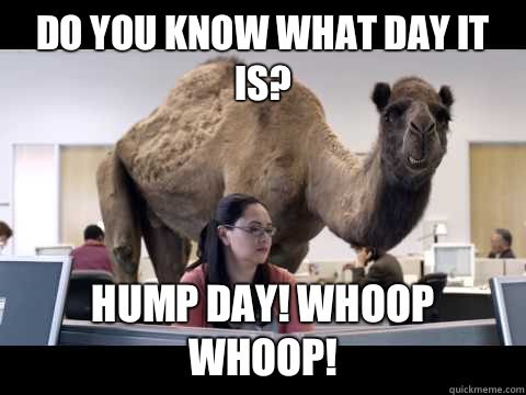 Do you know what day it is Hump Day Meme | Picsmine