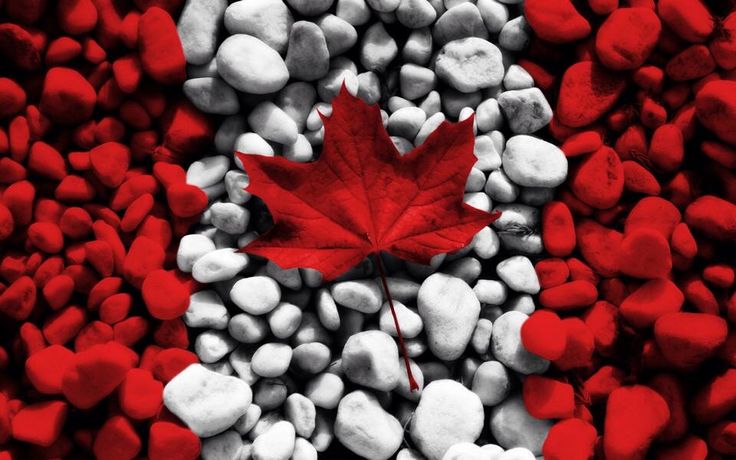 Happy Canada Day 1st July Wishes Wallpaper